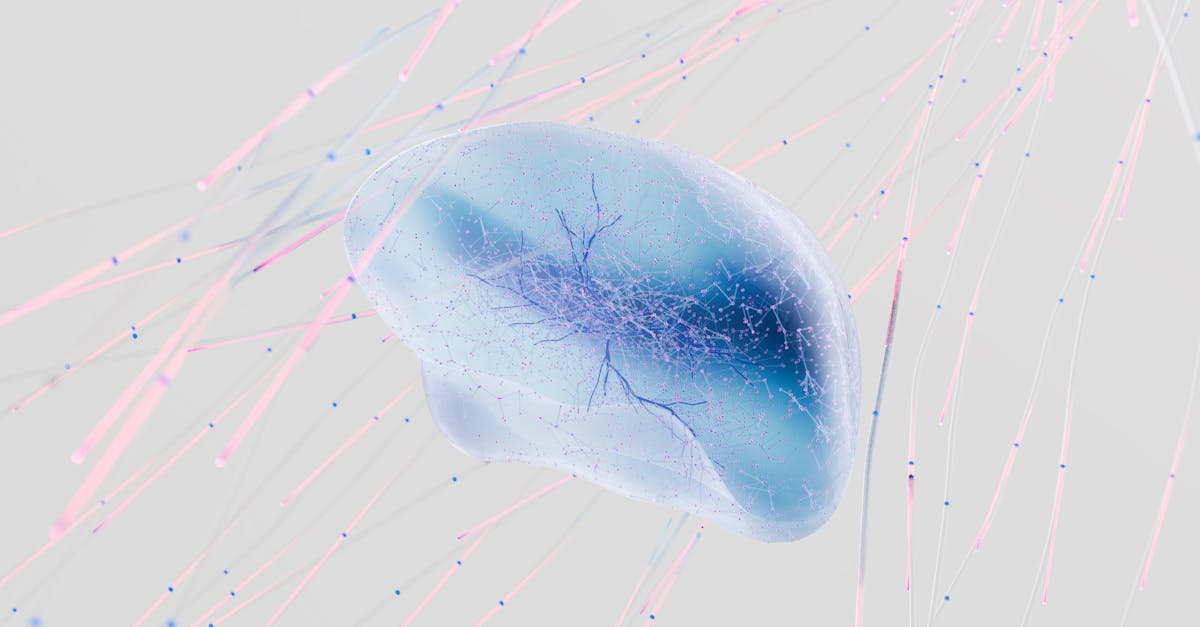 découvrez les réseaux de neurones, une technologie révolutionnaire qui imite le fonctionnement du cerveau humain pour résoudre des problèmes complexes en intelligence artificielle. apprenez comment ces systèmes apprennent de vastes ensembles de données et transforment divers domaines, de la vision par ordinateur à la reconnaissance vocale.