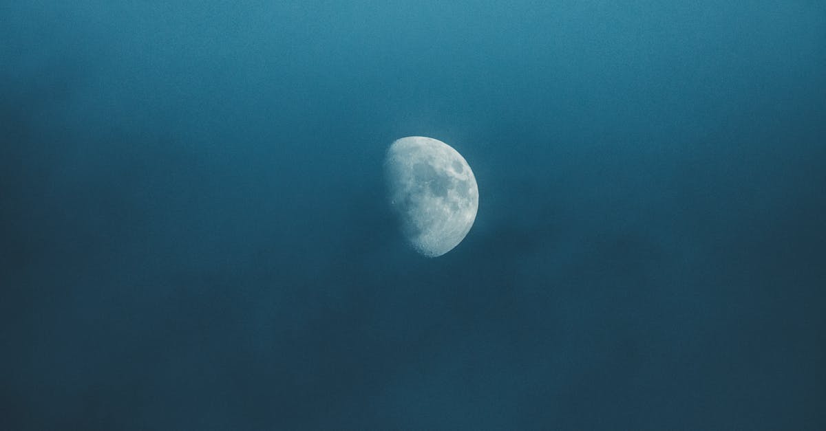 découvrez le halving, un événement crucial dans le monde des cryptomonnaies qui réduit de moitié la récompense des mineurs, influençant ainsi l'offre et le prix des actifs numériques. comprenez son impact sur le marché et ses implications pour les investisseurs.