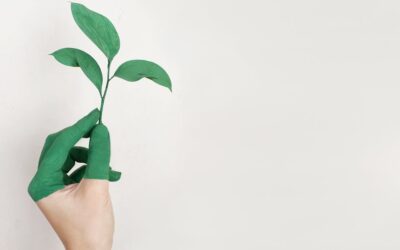 L’impact de l’innovation sur le développement durable
