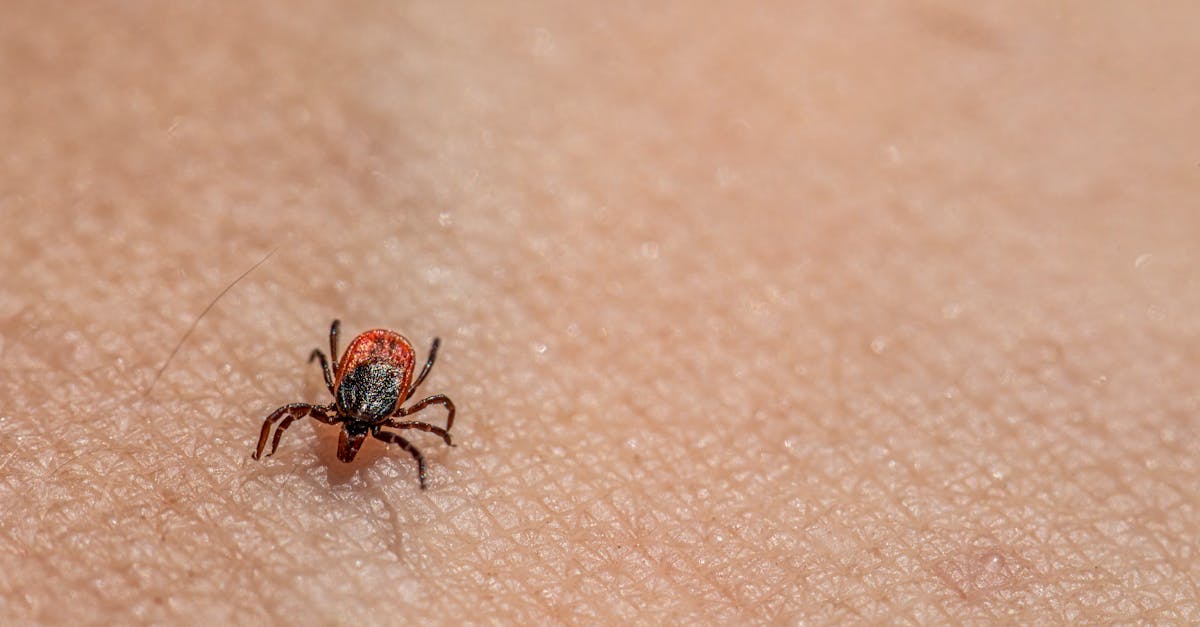 découvrez les risques cachés qui peuvent impacter votre vie quotidienne et vos décisions. informez-vous sur les dangers souvent négligés et apprenez comment les éviter afin de protéger vos biens et votre bien-être.
