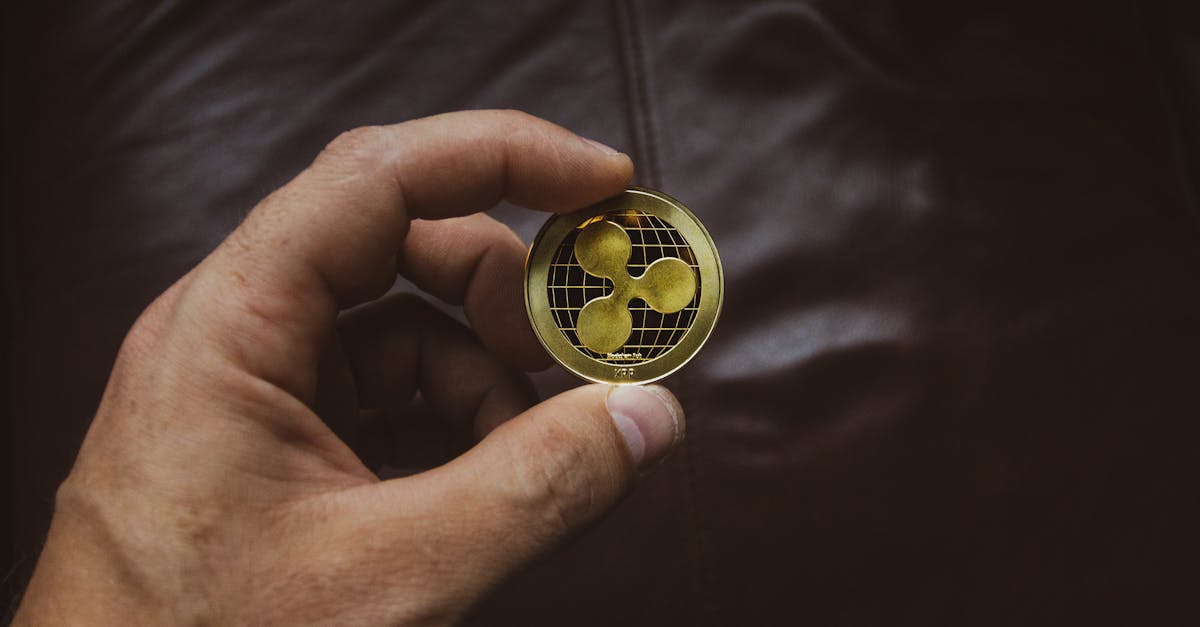 découvrez l'univers des cryptomonnaies : comment elles fonctionnent, leurs avantages, et comment investir dans ce marché en pleine expansion. obtenez des conseils, des analyses et des actualités sur les principales cryptos et leur impact sur l'économie mondiale.