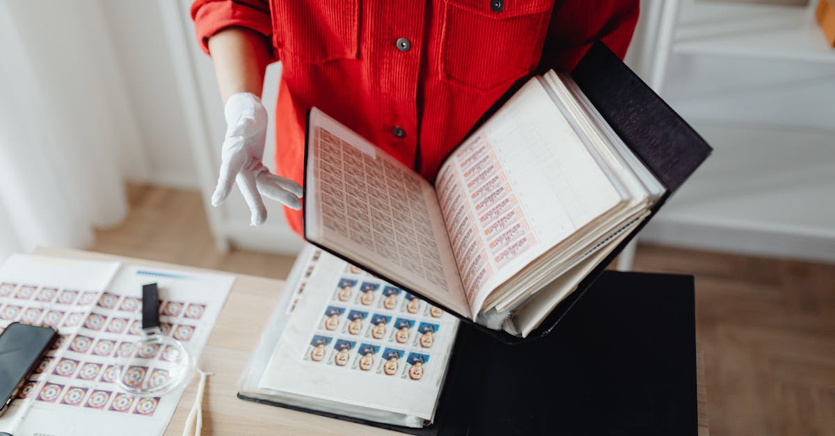 découvrez le concept de 'niche', un élément essentiel dans divers domaines, des affaires à la biologie. apprenez comment identifier et exploiter une niche pour maximiser votre succès, que ce soit en ciblant un marché spécifique ou en développant des stratégies adaptées à vos besoins.