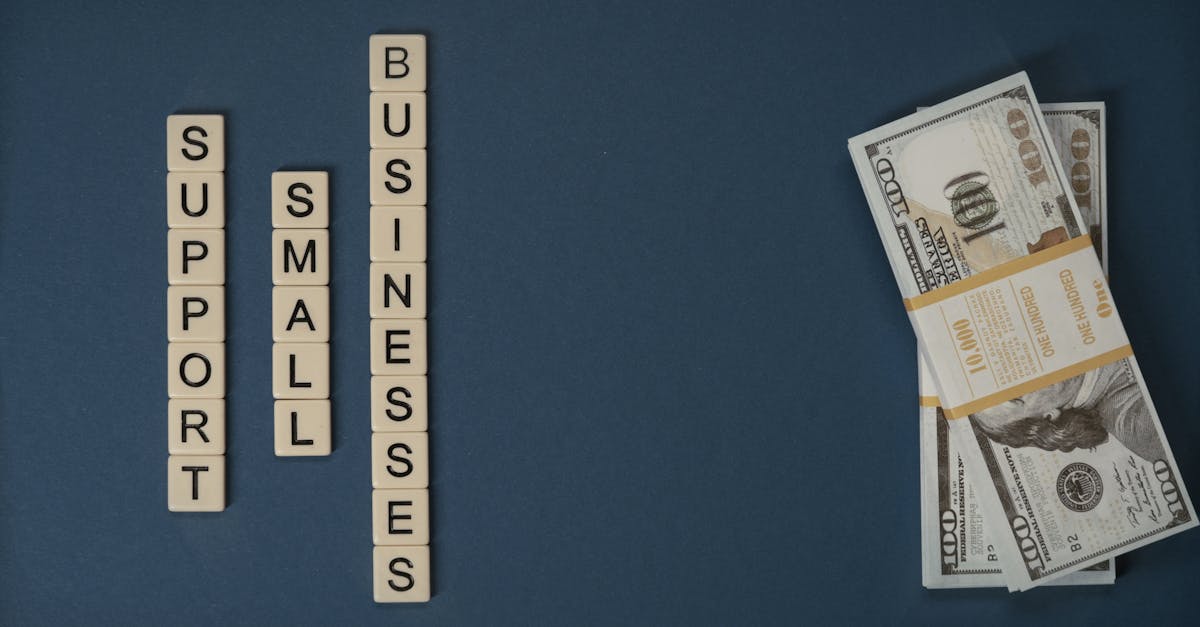 découvrez comment allier performance économique et responsabilité sociale avec l'entrepreneuriat durable. explorez des stratégies innovantes pour créer des entreprises respectueuses de l'environnement tout en générant de la valeur.