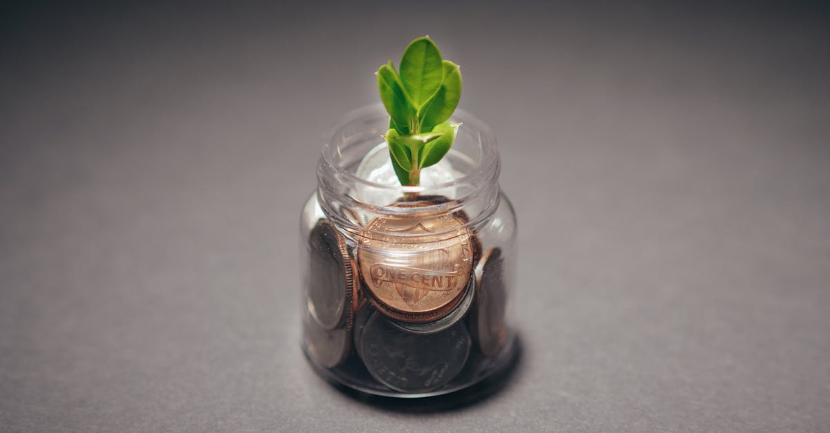 découvrez l'entrepreneuriat durable : une approche innovante qui allie performance économique et respect de l'environnement. apprenez comment créer des entreprises responsables qui répondent aux enjeux écologiques tout en générant de la valeur ajoutée.