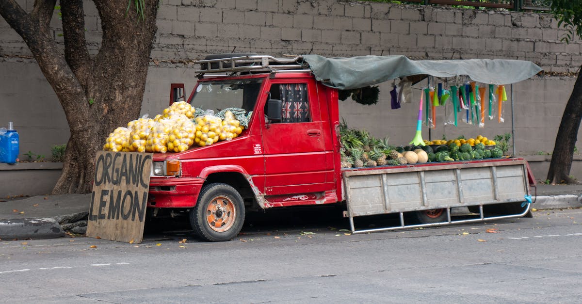 découvrez comment l'entrepreneuriat durable transforme les modèles d'affaires traditionnels en intégrant des pratiques écologiques et sociales. apprenez à lancer des initiatives respectueuses de l'environnement tout en générant un impact positif sur la société et en assurant la viabilité économique.