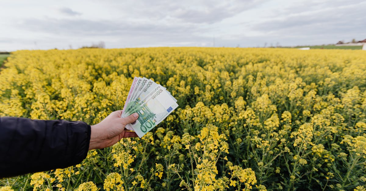 découvrez l'importance de l'investissement durable et comment il contribue à un avenir écologique tout en générant des rendements financiers. explorez les stratégies, les tendances et les opportunités pour investir de manière responsable et éthique.