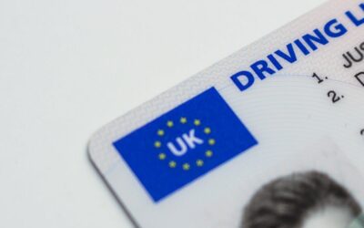 Comment la licence peut booster votre projet entrepreneurial